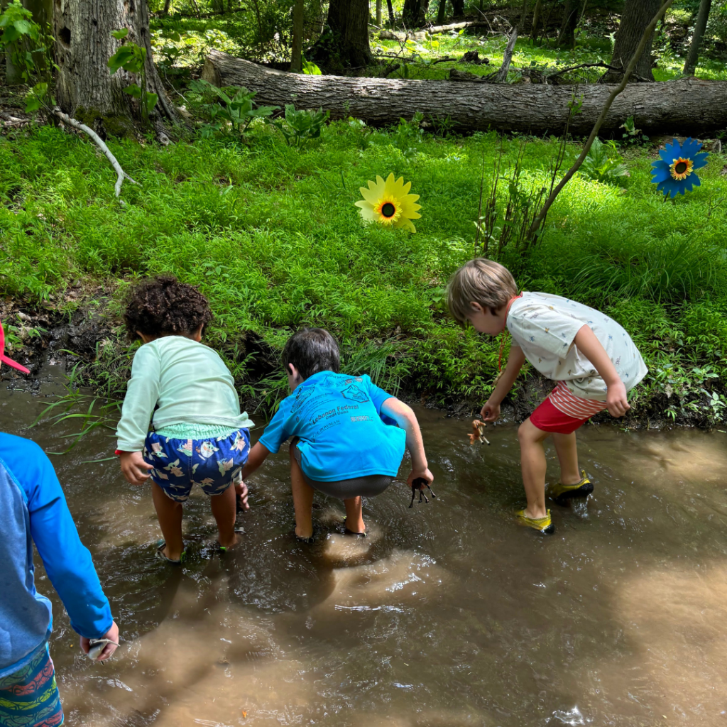 Children wading in a muddy creek in a forest, digging and playing near water with green plants and fallen logs nearby.